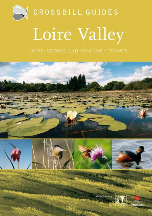 Crossbill  Guide: Loire Valley - Loire, Brenne and Sologne - 2011